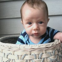 landen basket(1)