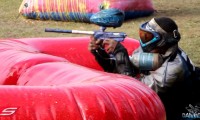 newpspsnakebunkertampadamage