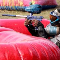 newpspsnakebunkertampadamage