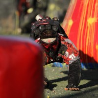 IMG_3853