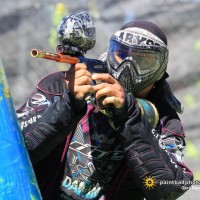 NPPL2012HBFSunPV_0178